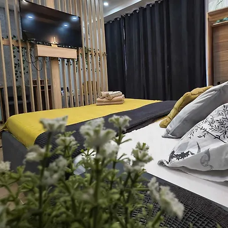 Vanimi Lux * Kikinda