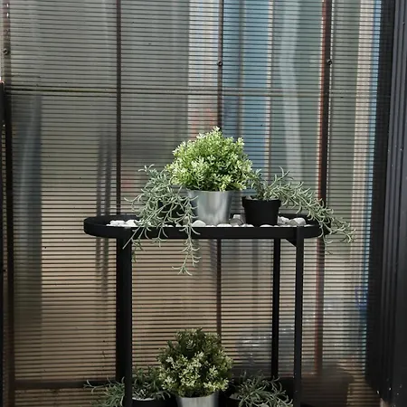 Vanimi Lux Apartament *