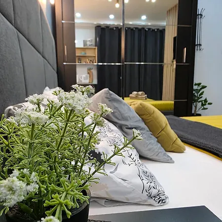 Vanimi Lux Apartament Kikinda